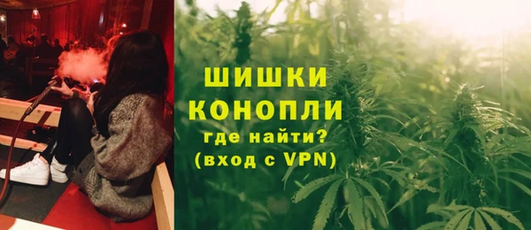 дмт Новозыбков