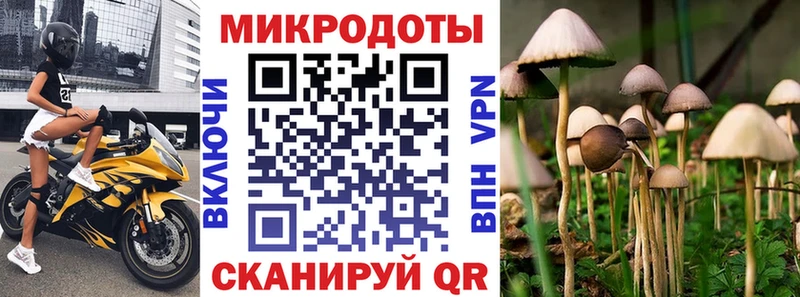 Галлюциногенные грибы мицелий  Знаменск 