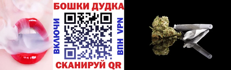 Бошки Шишки семена  купить наркотик  Знаменск 